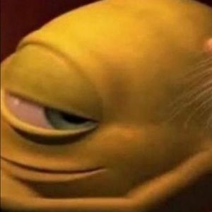 Meet your Posher, Judith